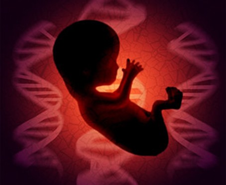 Maternal Screening Markers