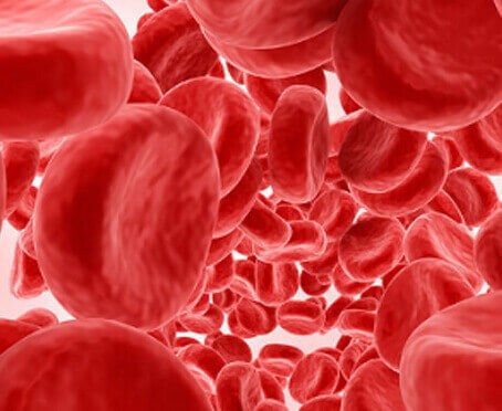 Hematology & Coagulation