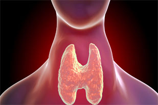 THYROID
