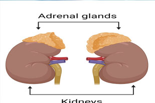 DISORDERS OF ADRENAL GLAND