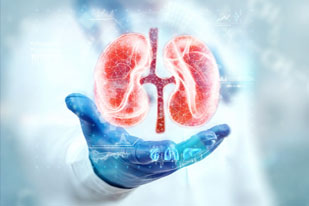 KIDNEY