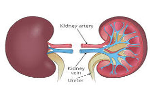 DISORDERS OF KIDNEY