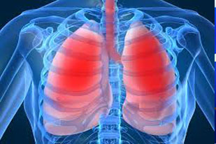 LUNGS
