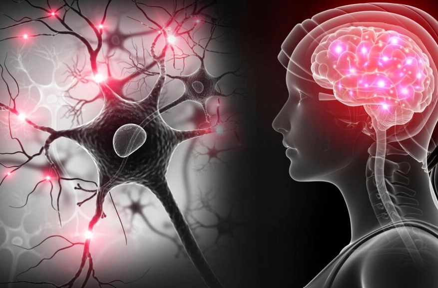 NEUROLOGICAL