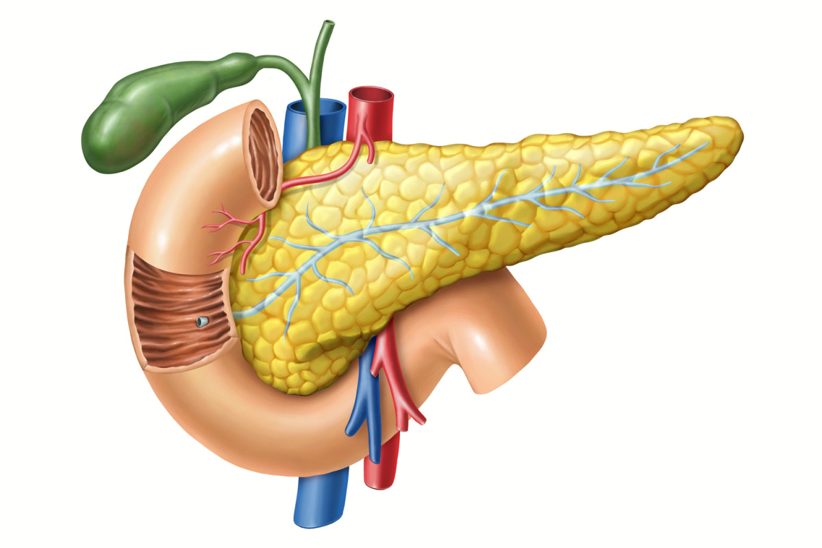 DISORDER OF PANCREAS