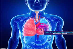 DISORDER OF RESPIRATORY SYSTEM