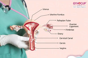 DISEASE OF REPRODUCTIVE SYSTEM